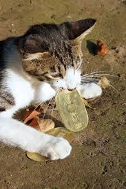 猫に小判