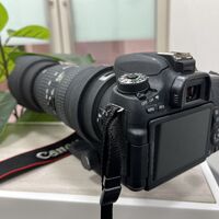 画像15931：K18　Pt900　コンビ　オパール　リング