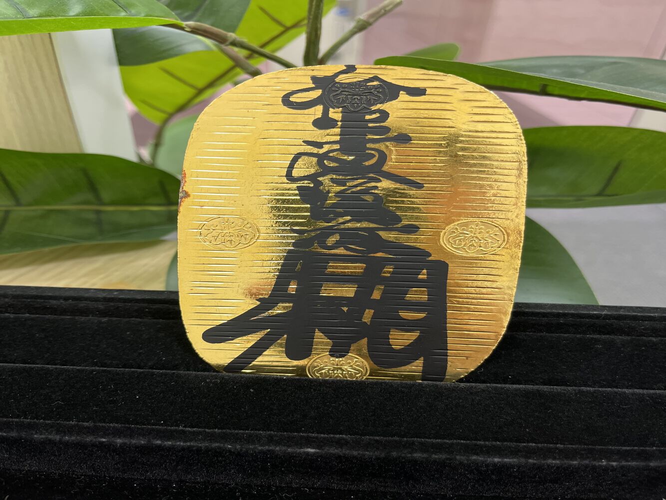 画像16512