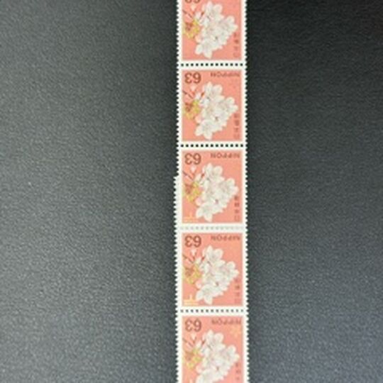 画像3136：買取実績