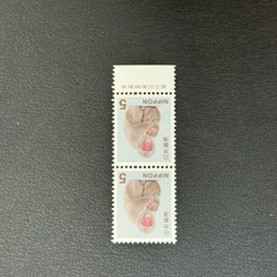 画像3138：買取実績